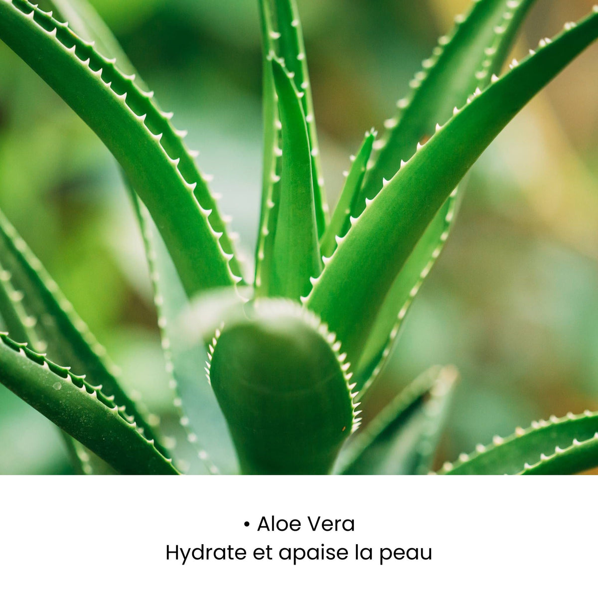 SÉRUM APAISANT ROUGEURS