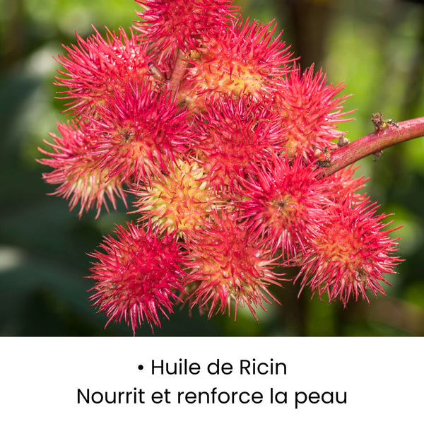 Huile de ricin utilisée dans les soins KALYAË ORIGIN, reconnue pour nourrir intensément et renforcer la souplesse cutanée.